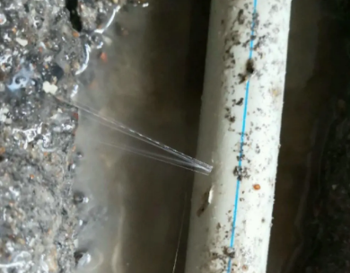 鄄城测漏水哪家好