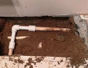 鄄城测漏水哪家好