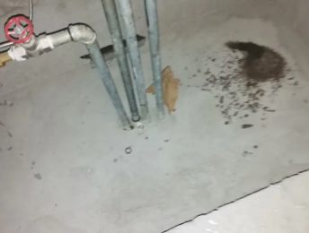 鄄城卫生间测漏水价格明细