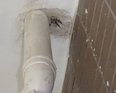 鄄城漏水检测哪家好